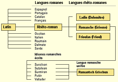 Linguas